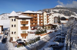 Almhof Hotel Call - Winterpanorama