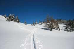 Alpengasthof Hohe Burg - Skitour