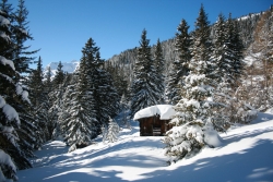 Alpengasthof Hohe Burg - Skitour Blaser