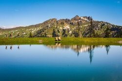 Das Alpenhaus Gasteinertal - Bergsee