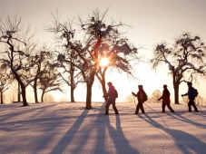 Gaestehaus Rottenspacher - Winterwandern