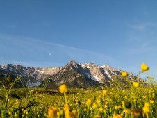 Blick zum Kaisergebirge