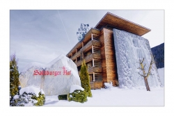 Hotel Salzburger Hof Leogang - Eiskletterwand