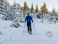Rab Shadow Hoodie - Harz