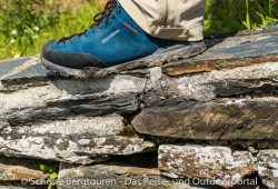 Scarpa Mojito Trail GTX Multifunktionsschuhe - Eidechse