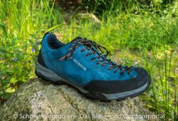 Scarpa Mojito Trail GTX Multifunktionsschuhe - Findling