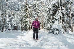 Swix Star XC Jacket - Verschneiter Wald