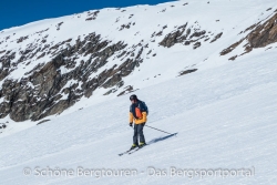 Uvex P1us Pro Skihelm - Franzoesische Alpen