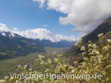 Vinschgauer Tal