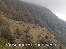Rueckblick zum Hof Zuckbichl