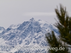 Der Ortler