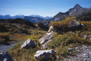 Vier Jahreszeiten Wanderbuch - Mitten im Lechquellengebirge
