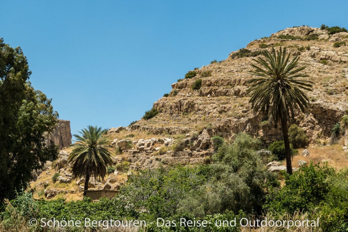 Israel - Oase im Wadi Qelt