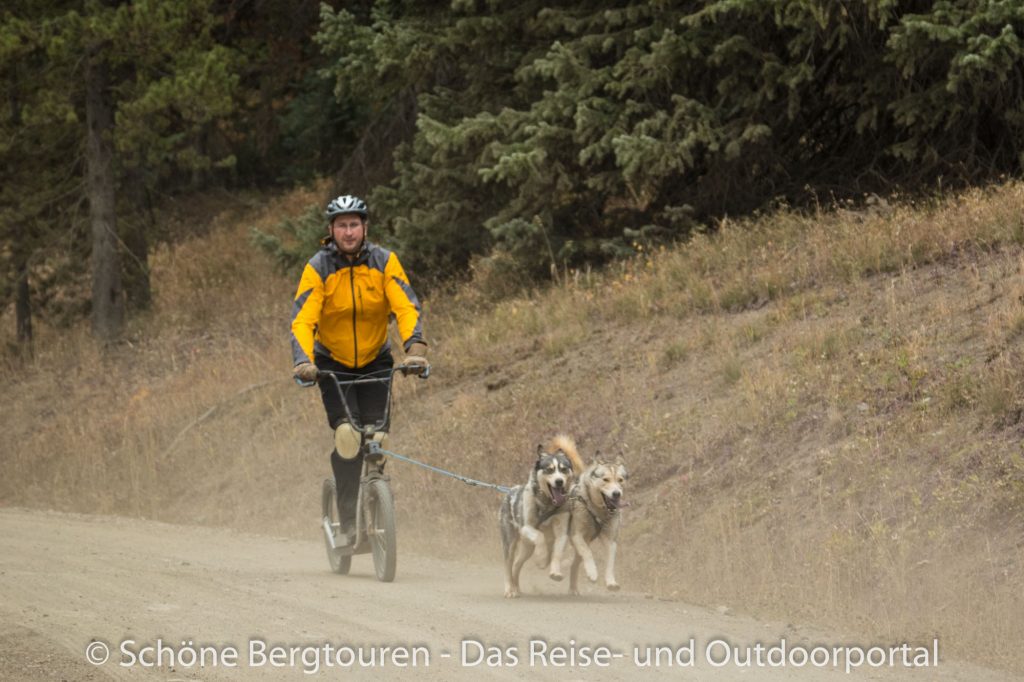 Breckenridge - Snow Caps Sled Dogs