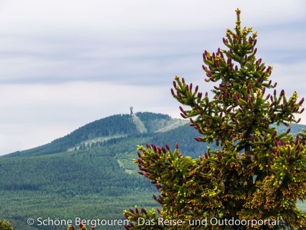 Harz - Blick zum Wurmberg