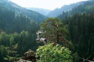 Fichtelgebirge - Hirschsprung im Hoellental